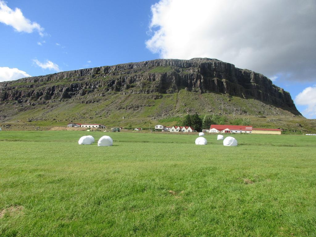 Lindarbrekka Villa Djúpivogur Exteriör bild
